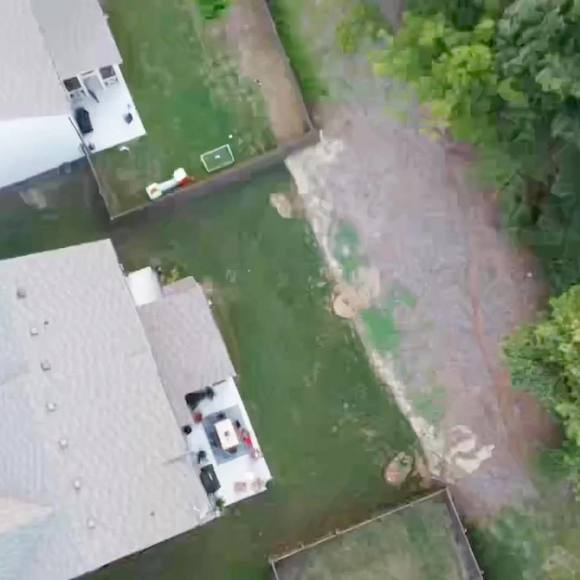 Meet your Posher, Ricky - Picture 1 of 1